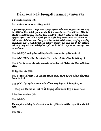 Đề khảo sát chất lượng đầu năm môn Ngữ văn Lớp 9 - Đề 3 (Có đáp án)