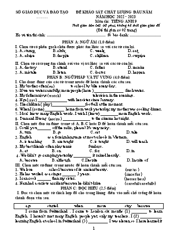Đề khảo sát chất lượng đầu năm môn Tiếng Anh 9 - Năm học 2022-2023