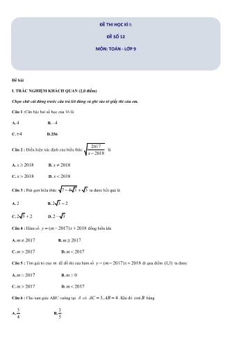 Đề thi học kì I môn Toán Lớp 9 - Đề số 12 (Có đáp án)