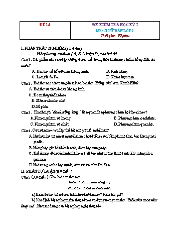 Tuyển tập 21 đề kiểm tra học kỳ I môn Ngữ văn Lớp 9 - Đề 14 (Có đáp án)