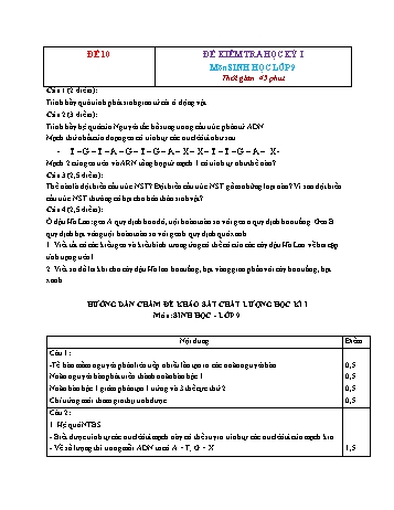 Tuyển tập 22 đề kiểm tra học kỳ I môn Sinh học Lớp 9 - Đề 10 (Có đáp án)