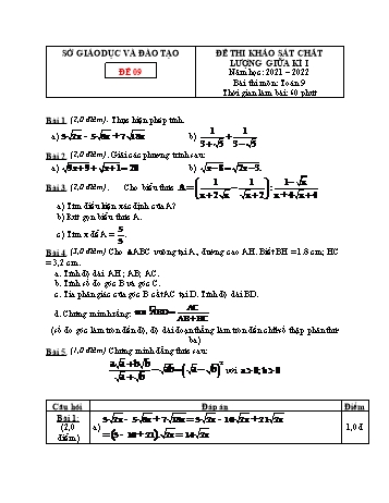 Đề thi khảo sát chất lượng giữa kì 1 Toán Lớp 9 - Đề 09 - Năm học 2021-2022 (Có đáp án)