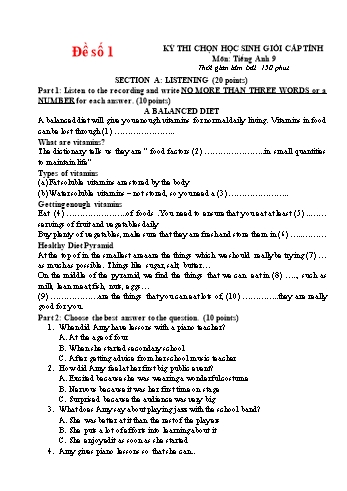 Kỳ thi chọn học sinh giỏi cấp tỉnh Tiếng Anh Lớp 9 - Đề số 1