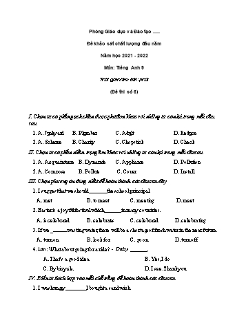 Đề khảo sát chất lượng đầu năm Tiếng Anh Lớp 9 - Đề số 6 - Năm học 2021-2022 (Có đáp án)