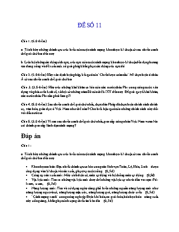 Đề thi học sinh giỏi Lịch sử Lớp 9 - Đề số 11 (Có đáp án)